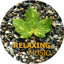 APK Relaxing Music Offline