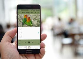 Suara Burung Lovebird Offline ภาพหน้าจอ 1