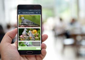 برنامه‌نما Suara Burung Perkutut Lokal عکس از صفحه