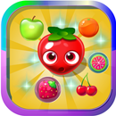 APK Fruit Crazy Mania