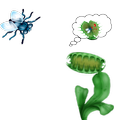 Flytrap