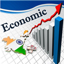 Indian Economic Survey APK