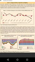 Indian Economic Survey Ekran Görüntüsü 2