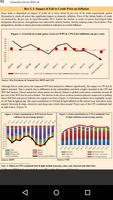 Indian Economic Survey captura de pantalla 2