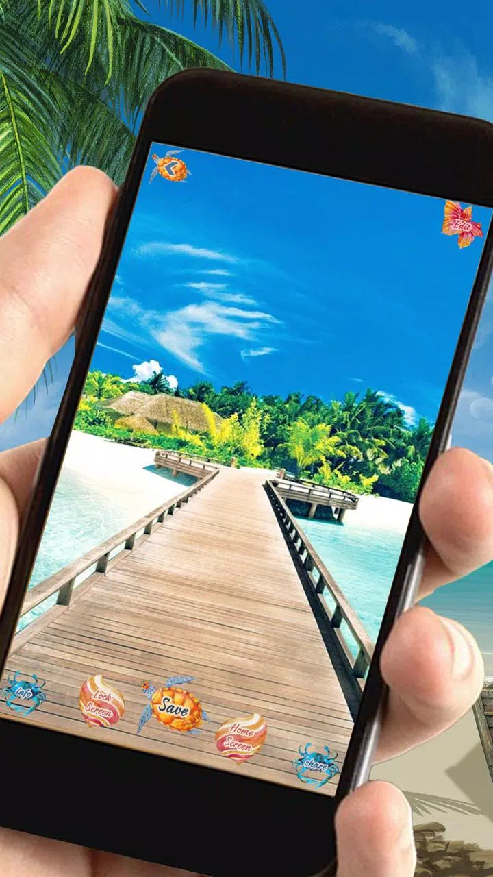 Summer Free Amazing Wallpapers APK for Android Download Summer Free Amazing Wallpapers APK for Android Download
