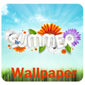 Summer Wallpaper