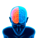 Boost Your Brain APK