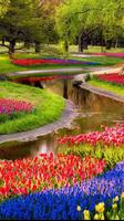 Gardens Wallpapers Affiche