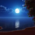 Moon Wallpapers 图标