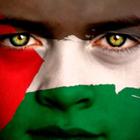 Palestine Wallpapers ไอคอน