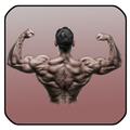 GYM WORKOUT GUIDE FITNESS