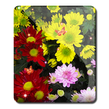 Summer Colours Fun HD LWP