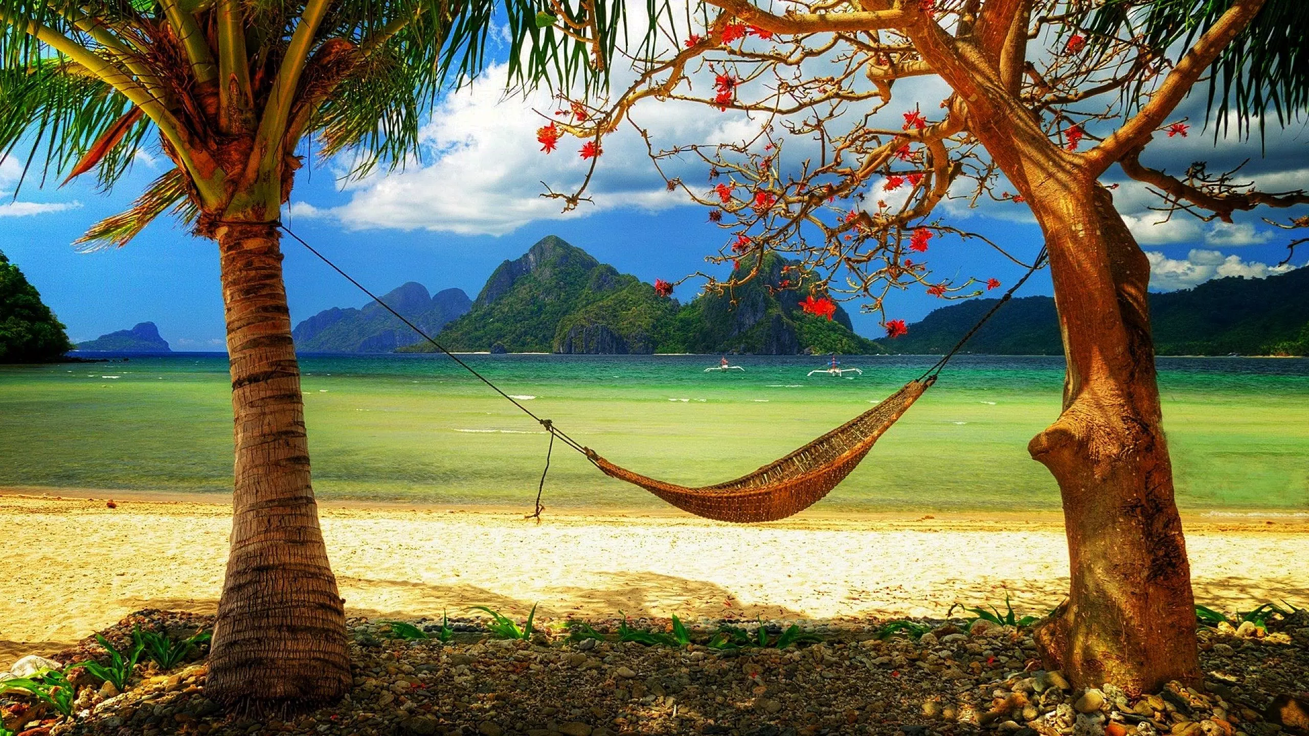 Summer Wallpaper Pictures HD Images Free Photos 4K APK voor Android Download