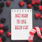 Diet Plan to Lose Belly Fat ikon