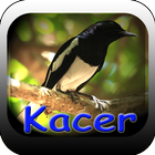 آیکون‌ KACER MASTER TERBARU