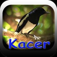 KACER MASTER TERBARU ポスター