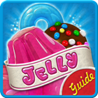 Tips Candy Crush Jelly Saga icon