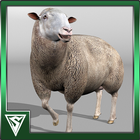 Funny Sheep Simulator icon
