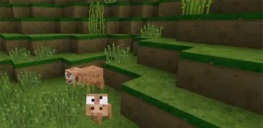 Craft Exploration Survival