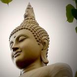 Gậy Kim Cang Hét -HT.Tuyên Hóa