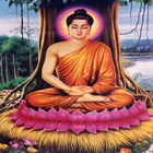 101 Chuyện Phật Giáo Hay Nhất آئیکن