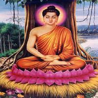 101 Chuyện Phật Giáo Hay Nhất پوسٹر