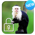 Capuchin Monkey Screen Lock 图标