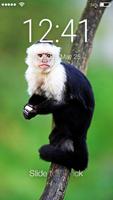 Pantalla de bloqueo mono capuchino Poster