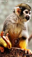 Capuchin Monkey Screen Lock ảnh chụp màn hình 1