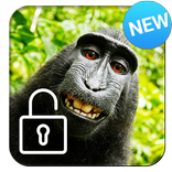 Happy Monkey Lock Screen