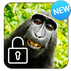 écran de verrouillage de singe heureux icône