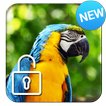 Parrot Ara Lock Screen