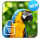 Parrot Ara Lock Screen APK