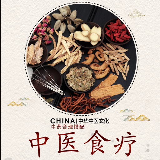 中医食疗养生-营养粥养生汤食疗药膳食谱大全
