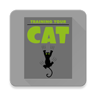 Training Your Cat icône