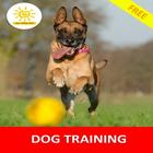Dog Training ícone
