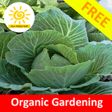 Organic Gardening icône