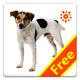 Kids English Flash Card