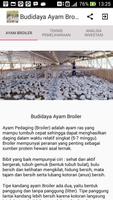 Panduan Budidaya Ayam Broiler Affiche