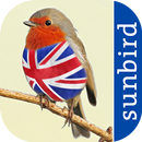 All Birds UK  - A Sunbird Field Guide APK
