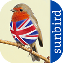 All Birds UK  - A Sunbird Fiel APK