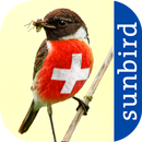 Alle Vögel Schweiz - Ein Sunbi APK