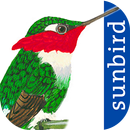 All Birds Colombia - A Sunbird APK