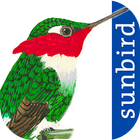 All Birds Colombia - A Sunbird icône