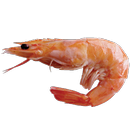 Блюда из морепродуктов APK