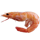 Блюда из морепродуктов ícone