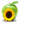 Sundhealth Denmark