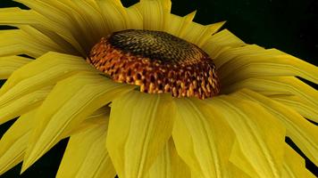 Sunflower 3D screenshot 2