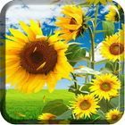 Sunflower Live Wallpaper ícone