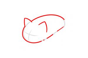 How to draw Sushi Cat Affiche